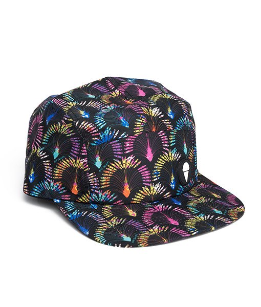 TRAVELLERS PALM 2