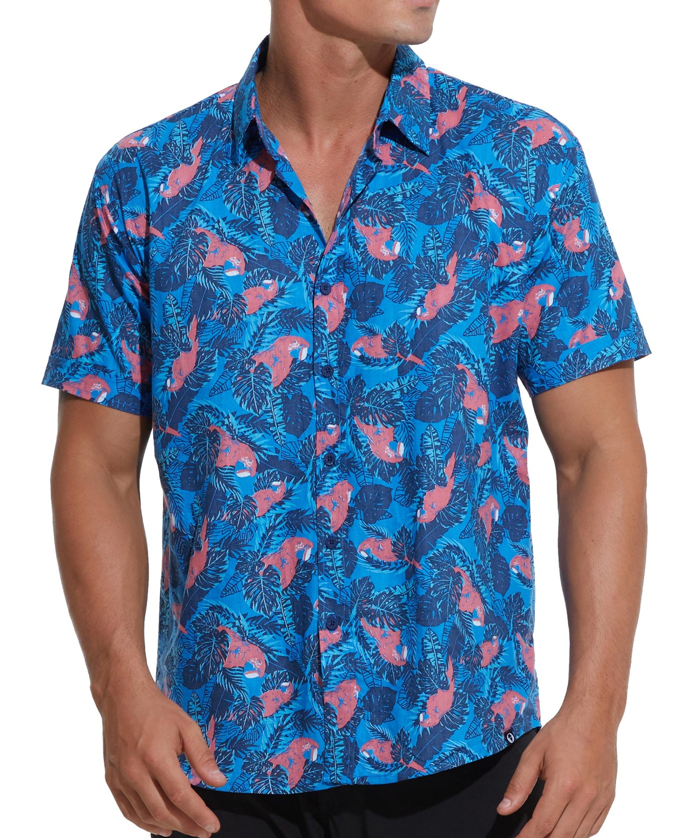 TROPICAL PARROTS
