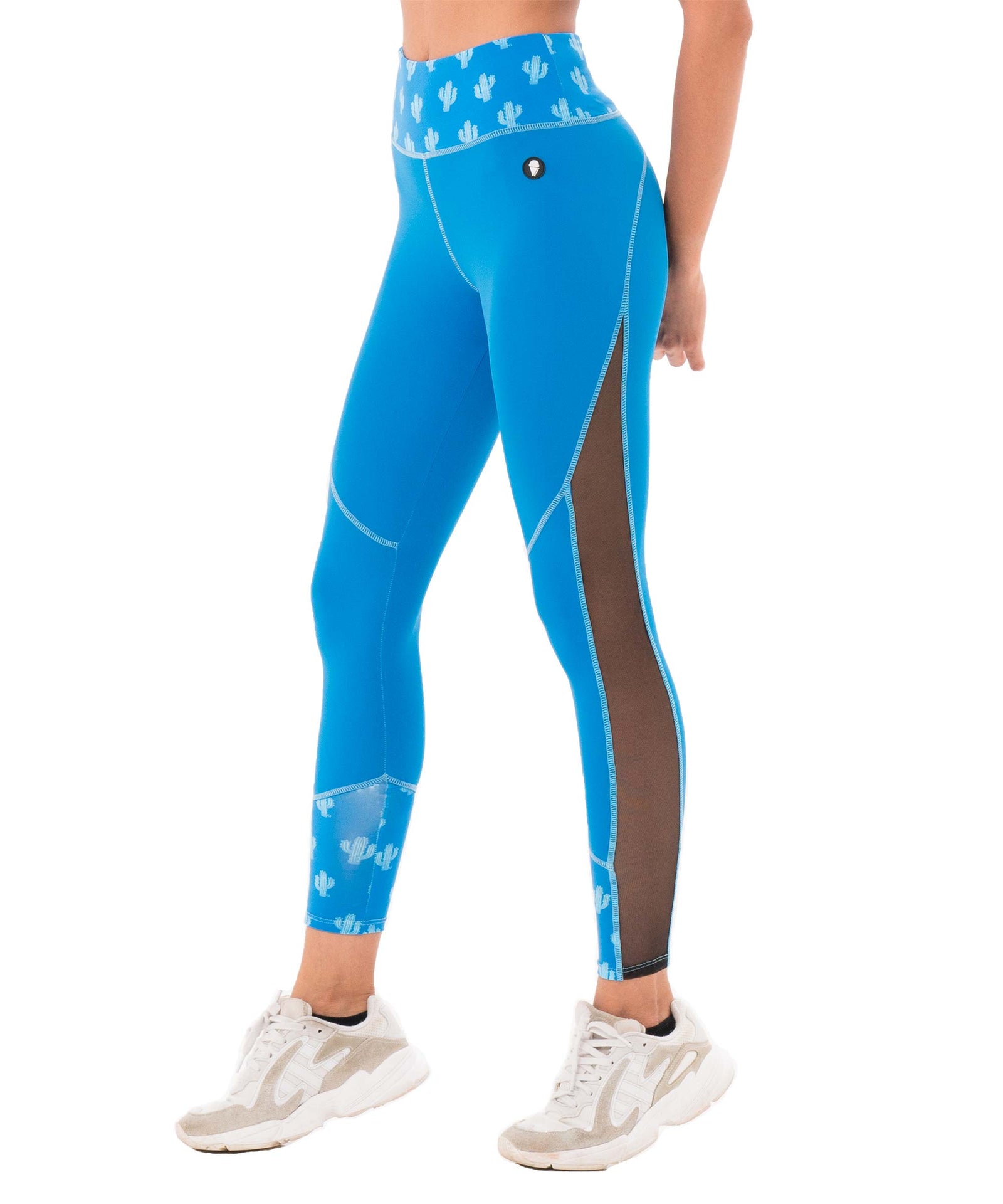 DESERT SCENE BLUE